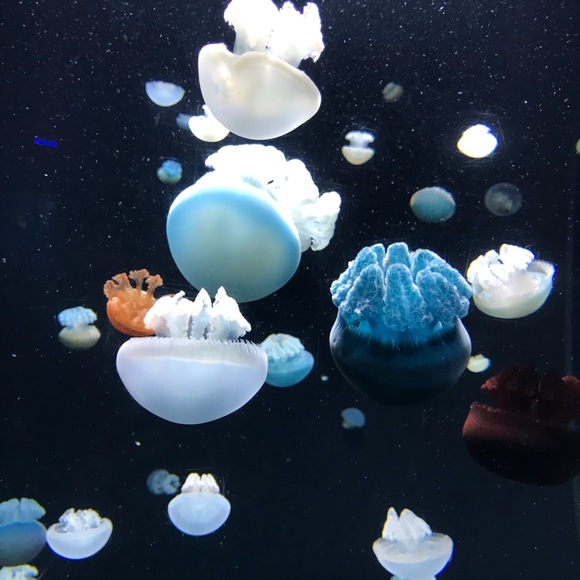 🎉 SHOP MY CLOSET 🎉🎊 - Picture 1 of 1